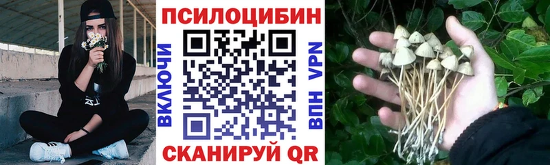 Галлюциногенные грибы мицелий  площадка как зайти  Лысьва 